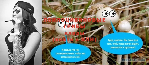 2c-b Новодвинск