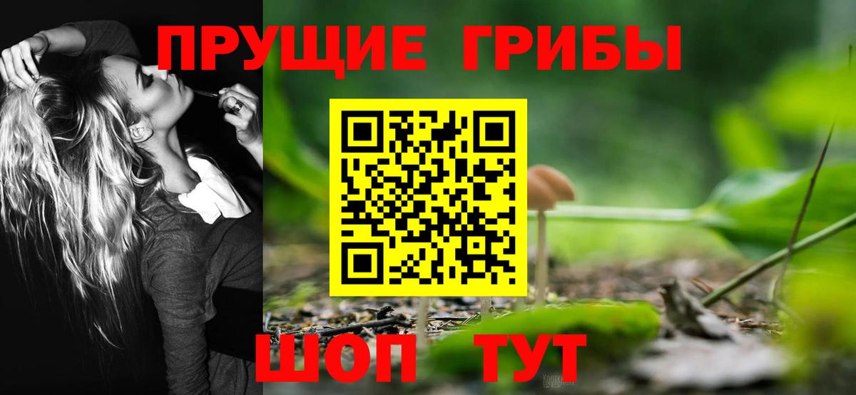 Галлюциногенные грибы Magic Shrooms  Псилоцибиновые грибы ЛСД  Вход с VPN  Хасавюрт 