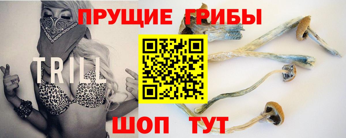 Галлюциногенные грибы мицелий Хасавюрт